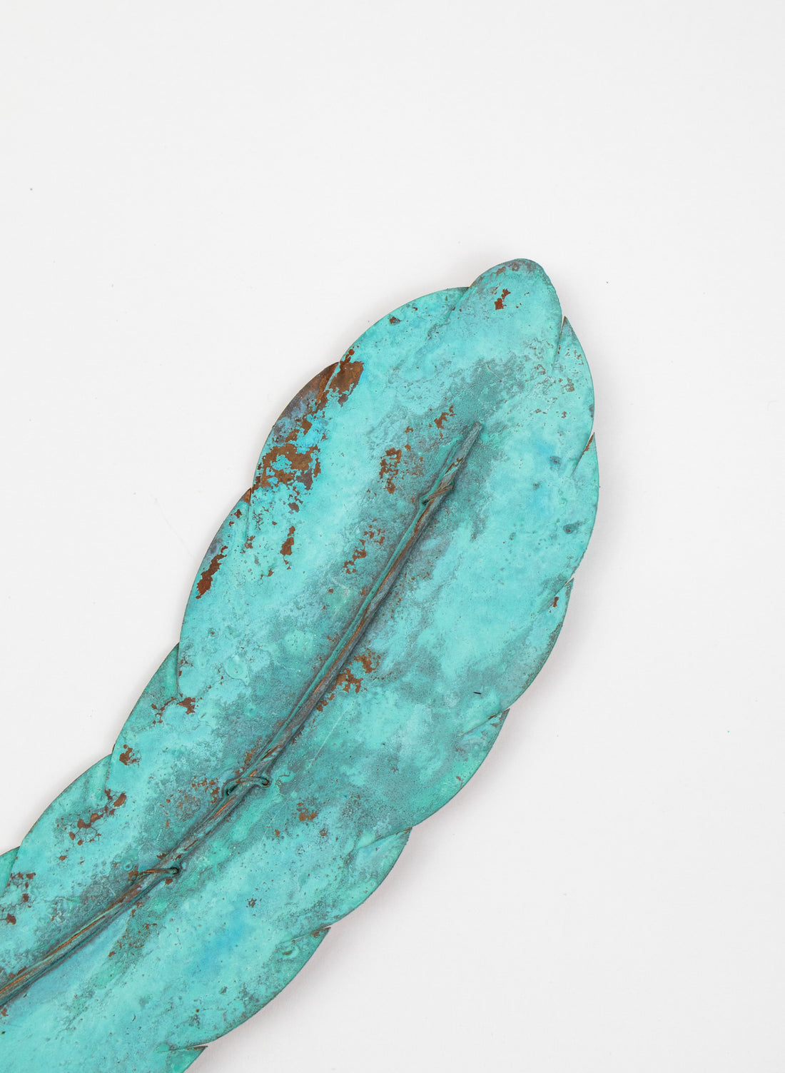 Curved Feather
