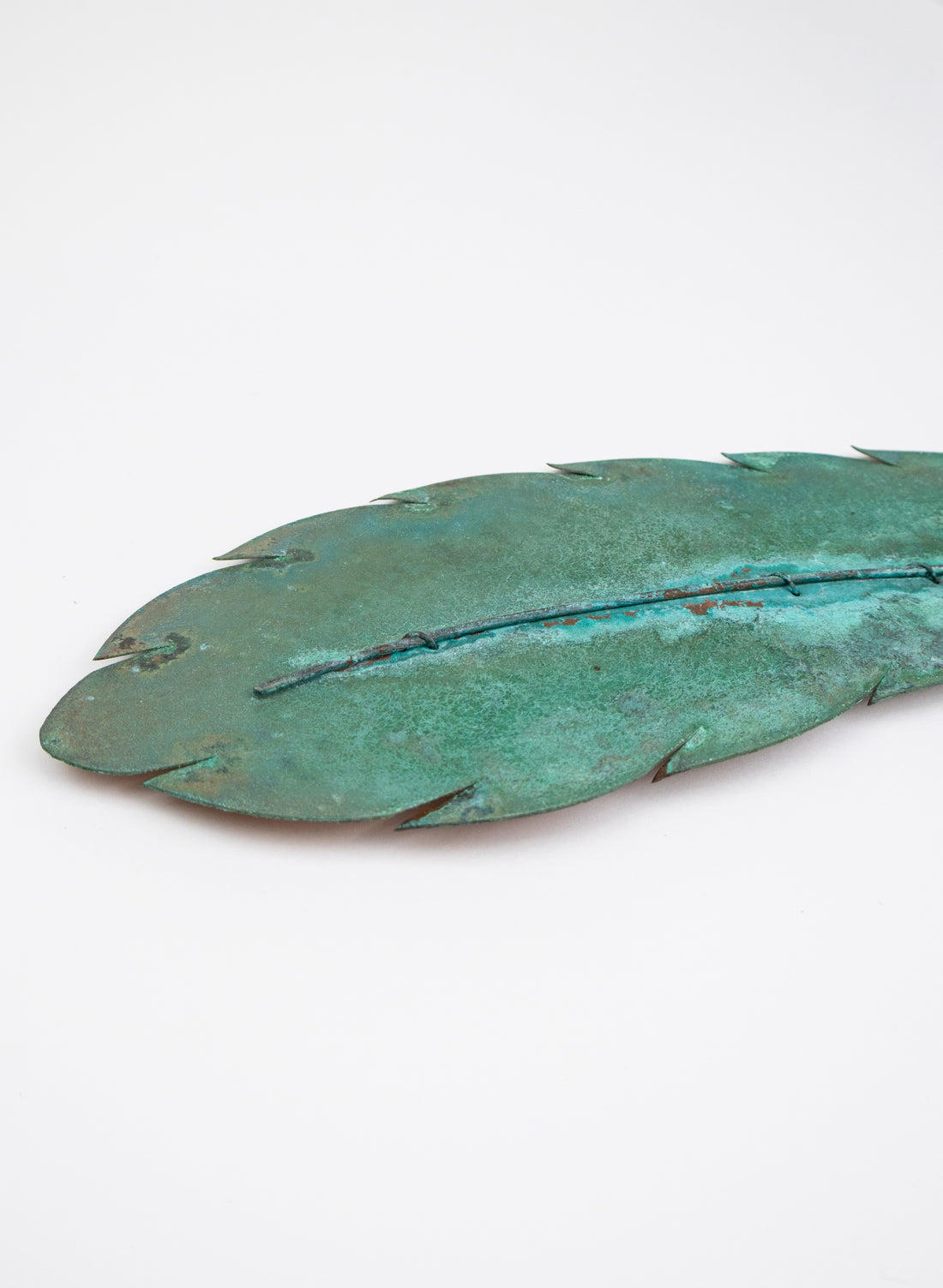 Large Curved Feather