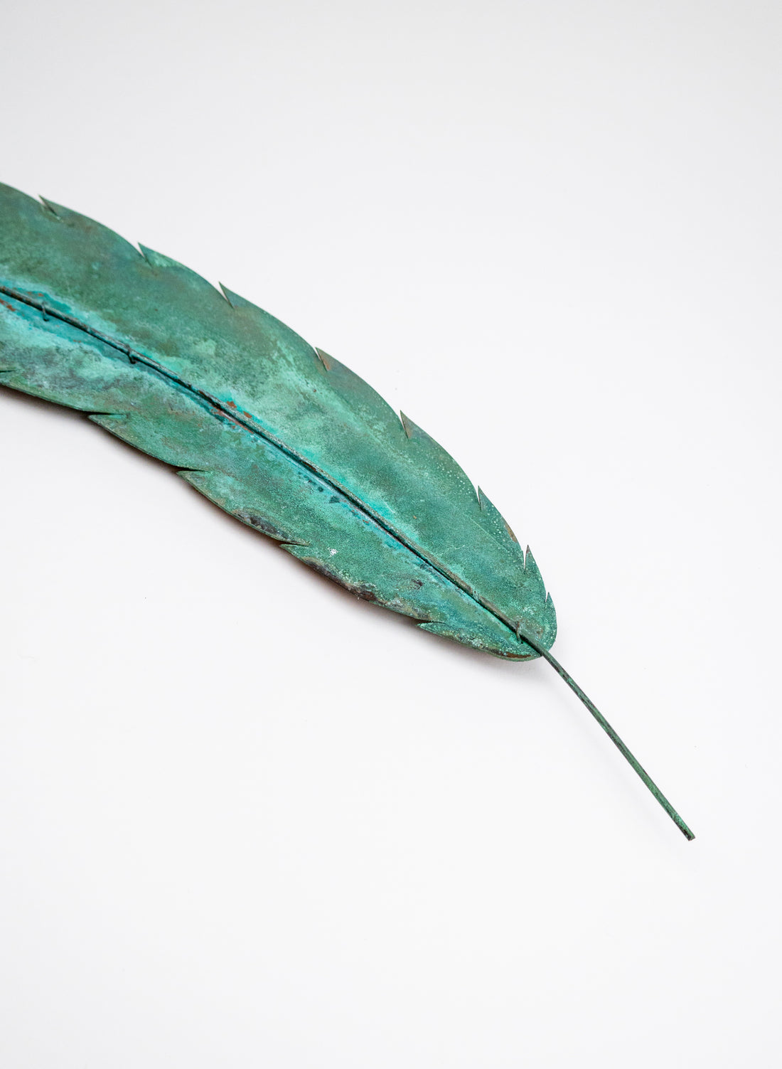 Curved Feather