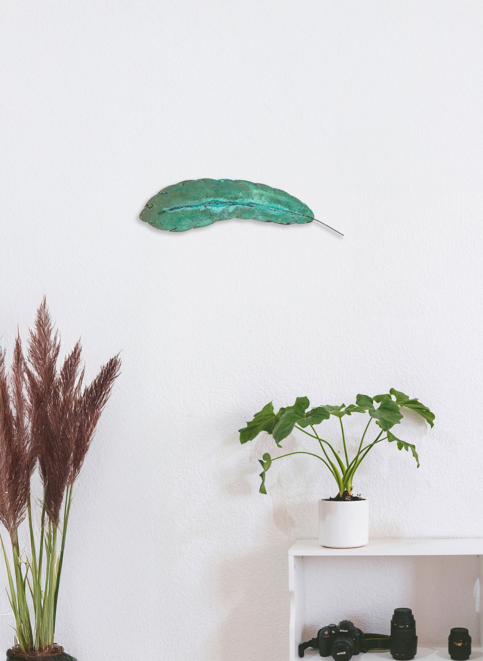Curved Feather