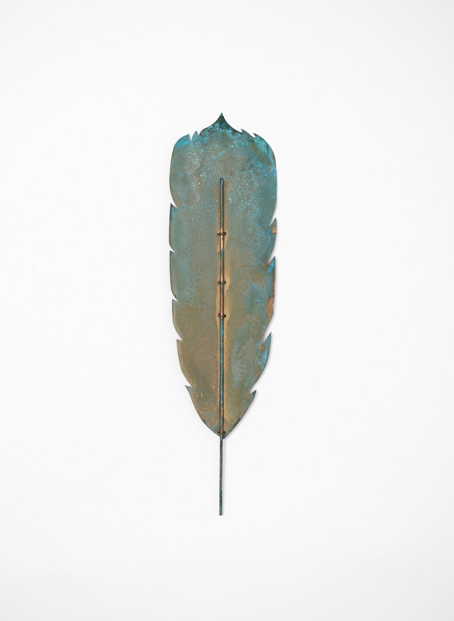 Huia Feather 