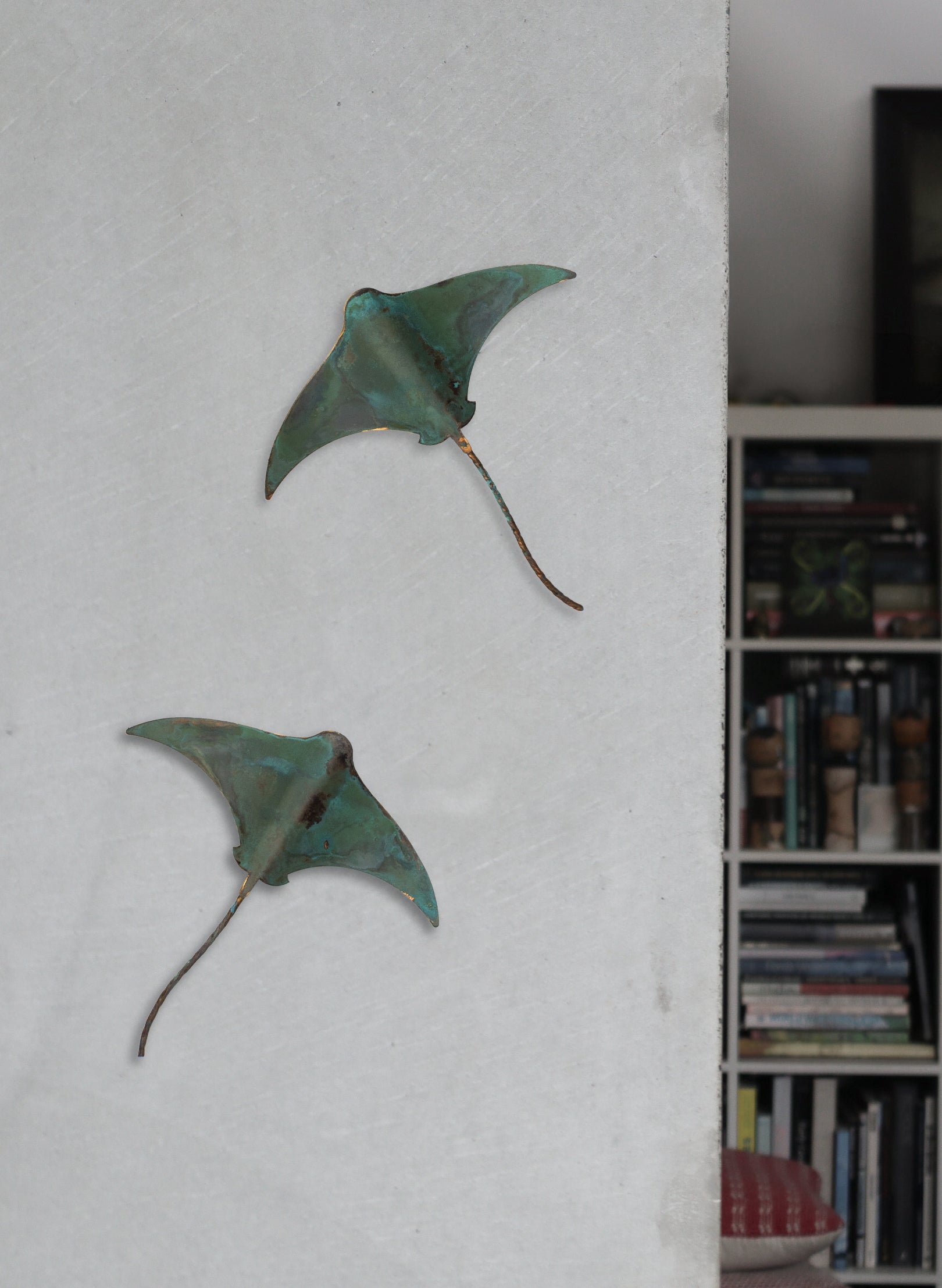Stingray - Single
