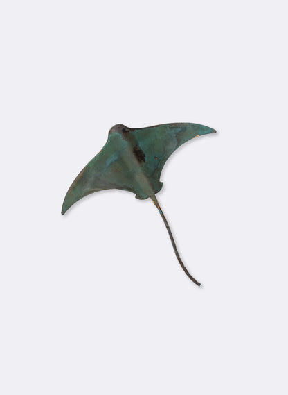 Stingray - Single