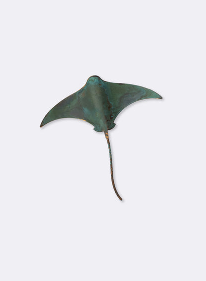 Stingray - Single