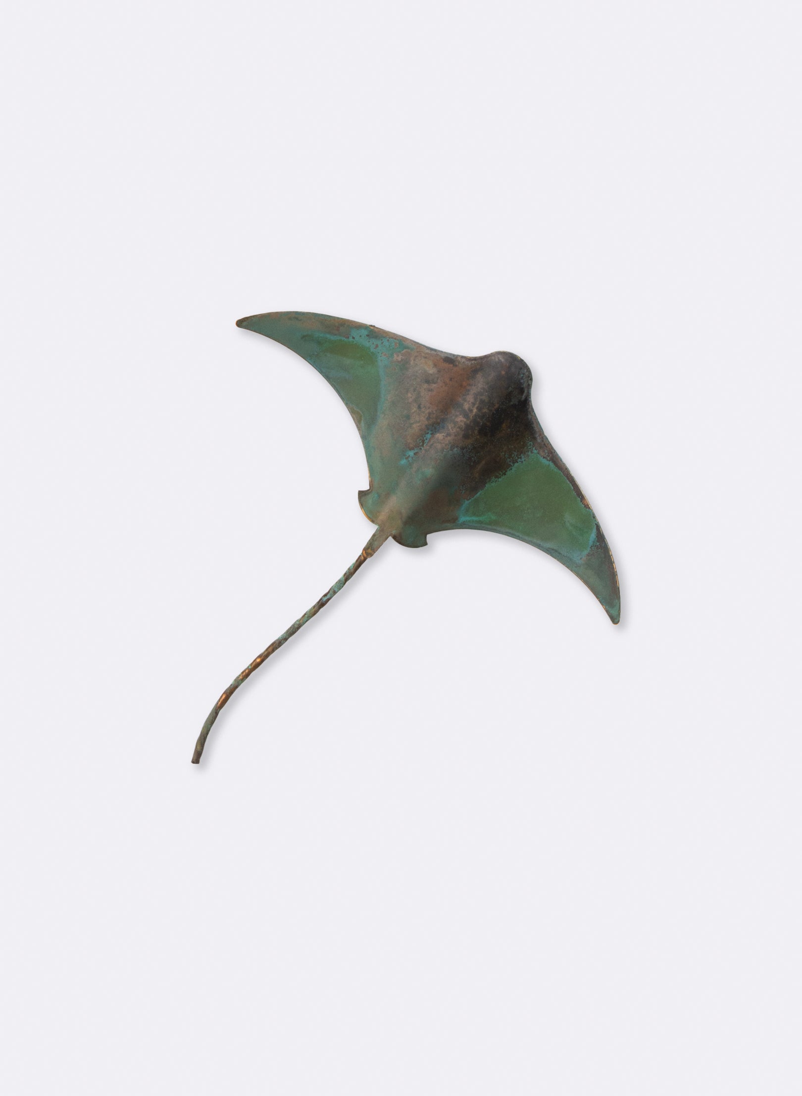 Stingray - Single