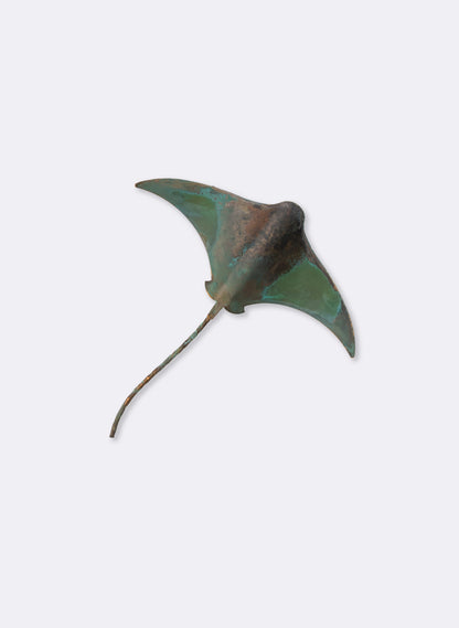 Stingray - Single