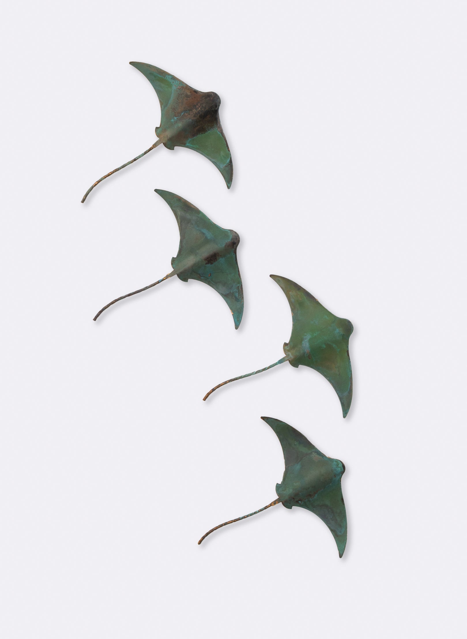 Stingray - Single