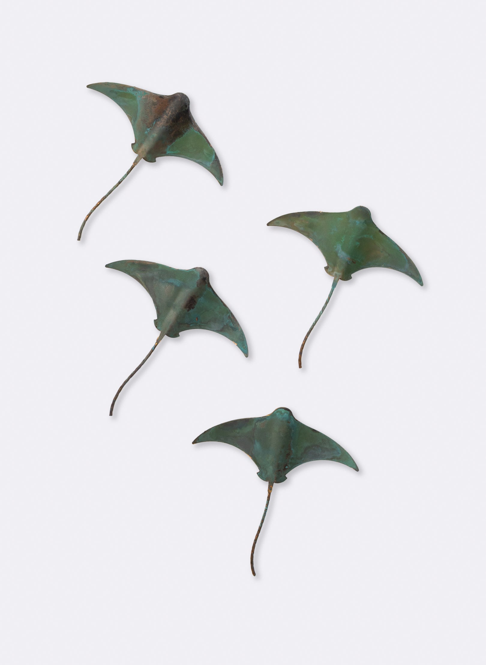 Stingray - Single