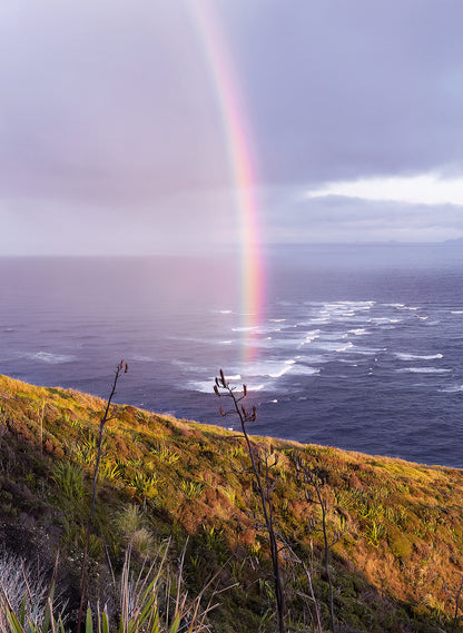 Where Oceans Collide - Photographic Print