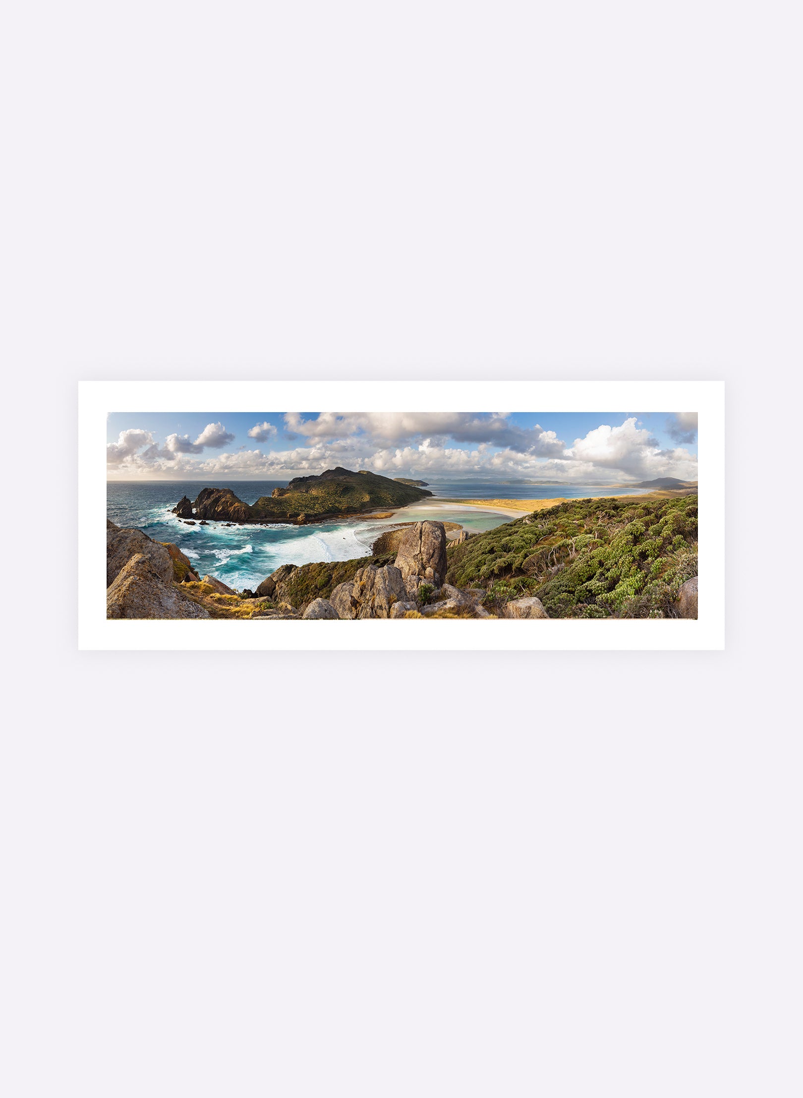 Wild &amp; Windswept - Photographic Print