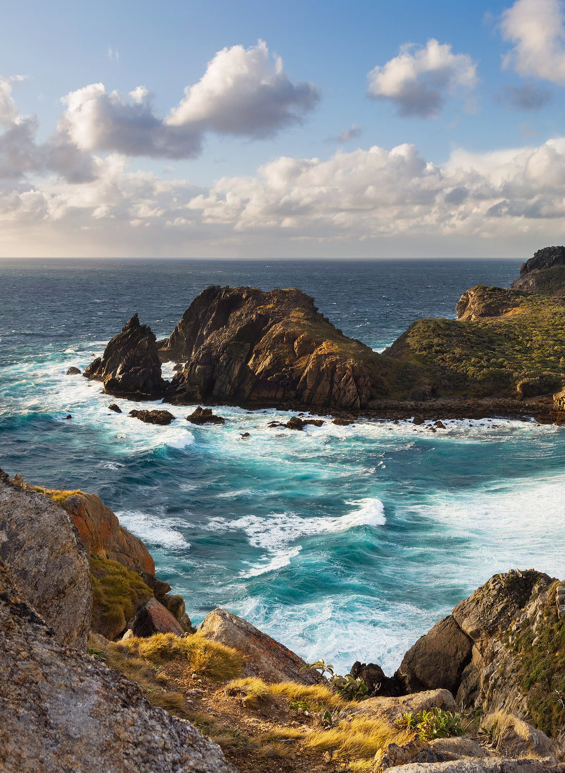 Wild &amp; Windswept - Photographic Print