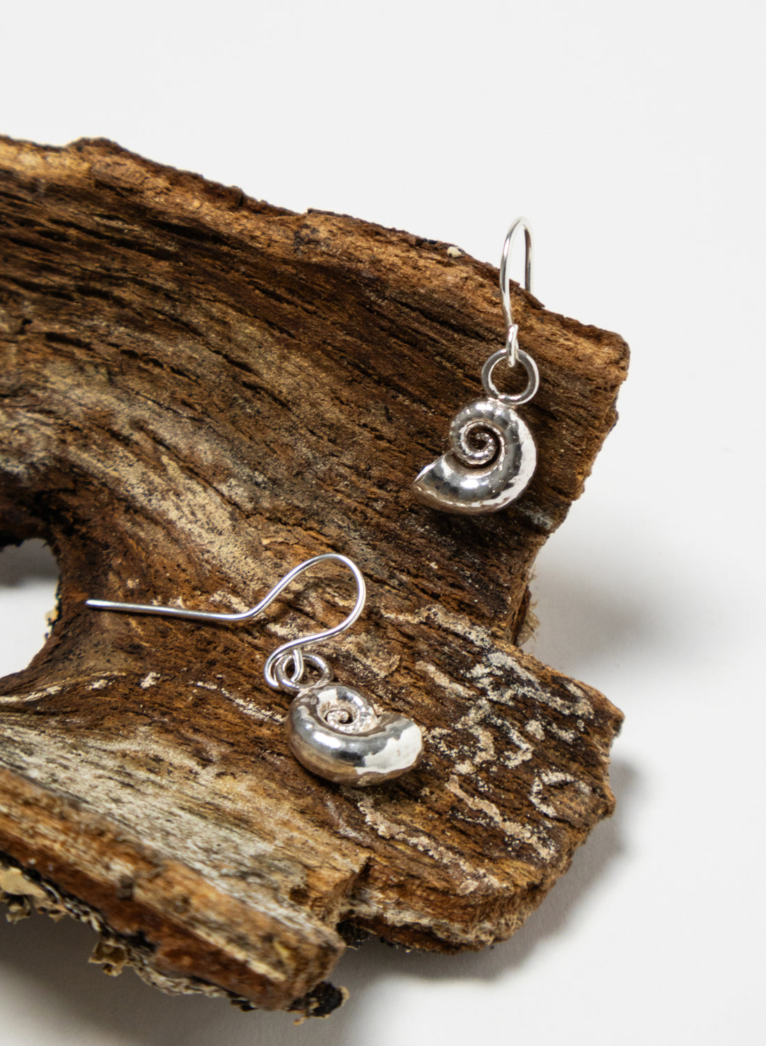 Spiral Shell Hoop Earrings