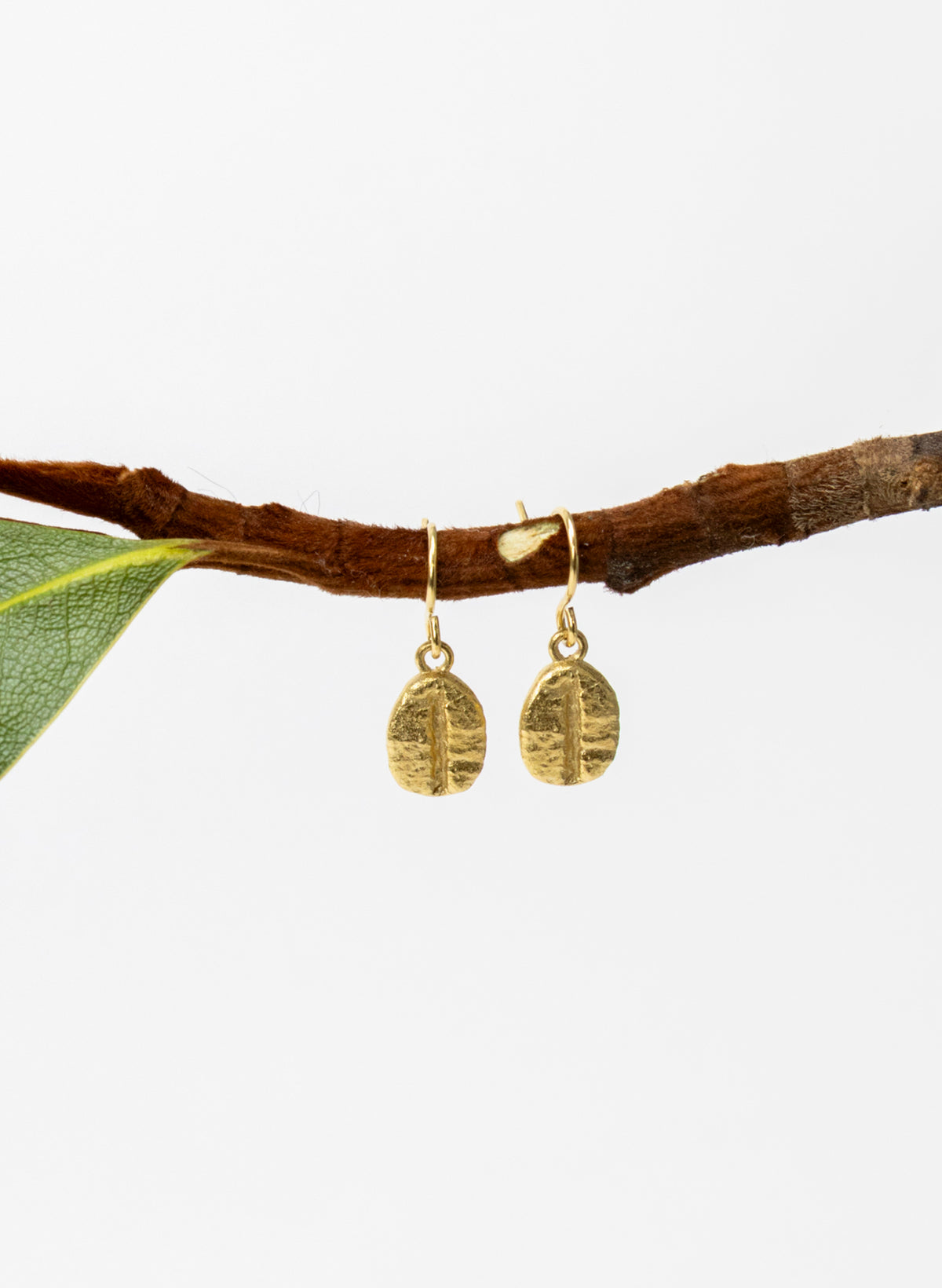 Coffee Bean Earrings - Gold