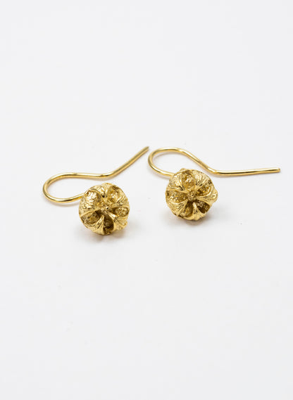 Manuka Hook Earrings - Gold