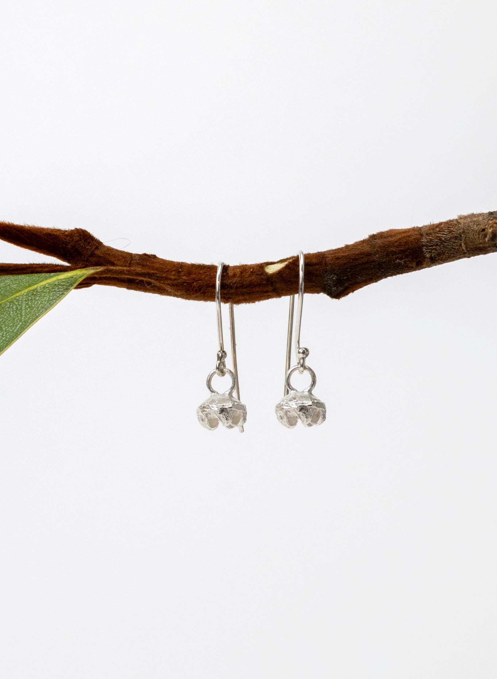 Manuka Seed Hook Earrings