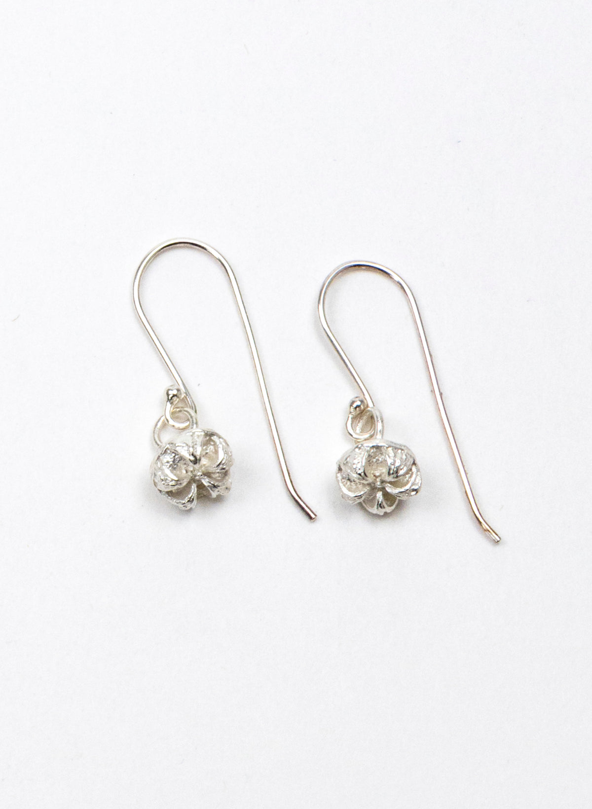 Manuka Seed Hook Earrings