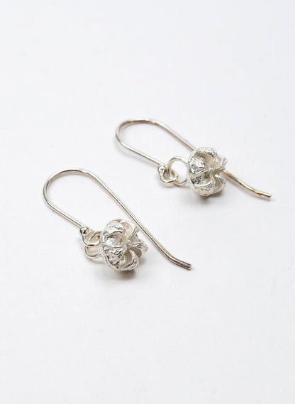 Manuka Seed Hook Earrings