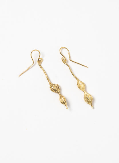 Kōwhai Seed Earrings - Gold