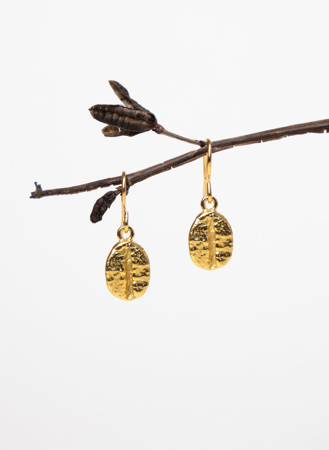 Coffee Bean Earrings - Gold