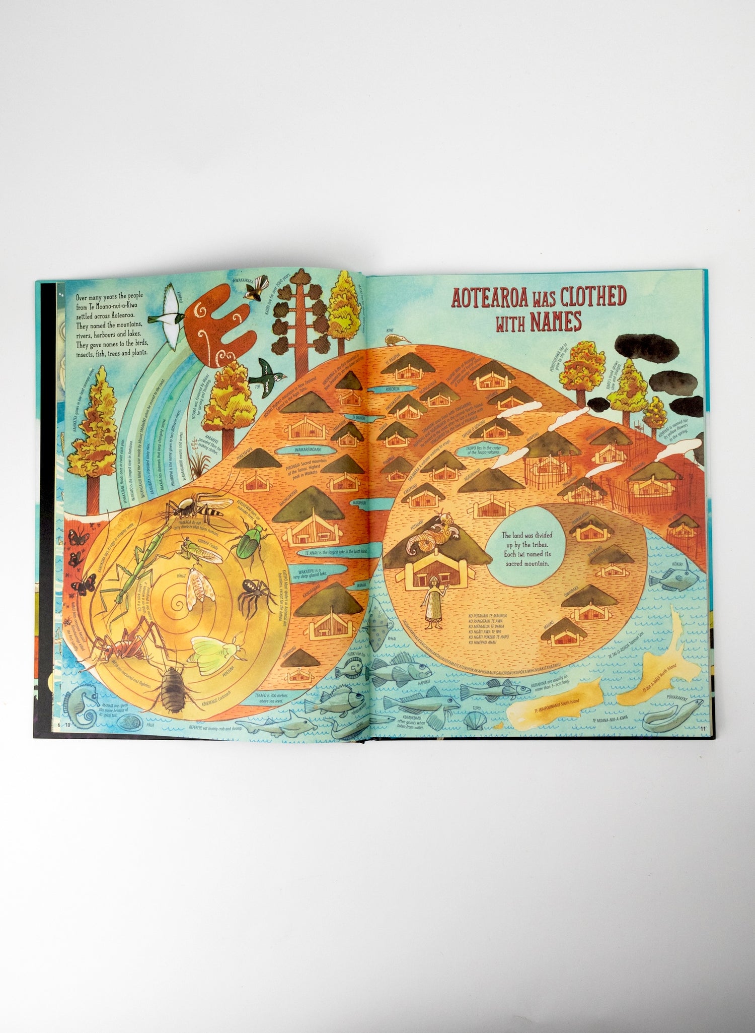 Aotearoa - The New Zealand Story