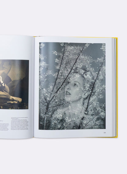 NZ Photography Collected