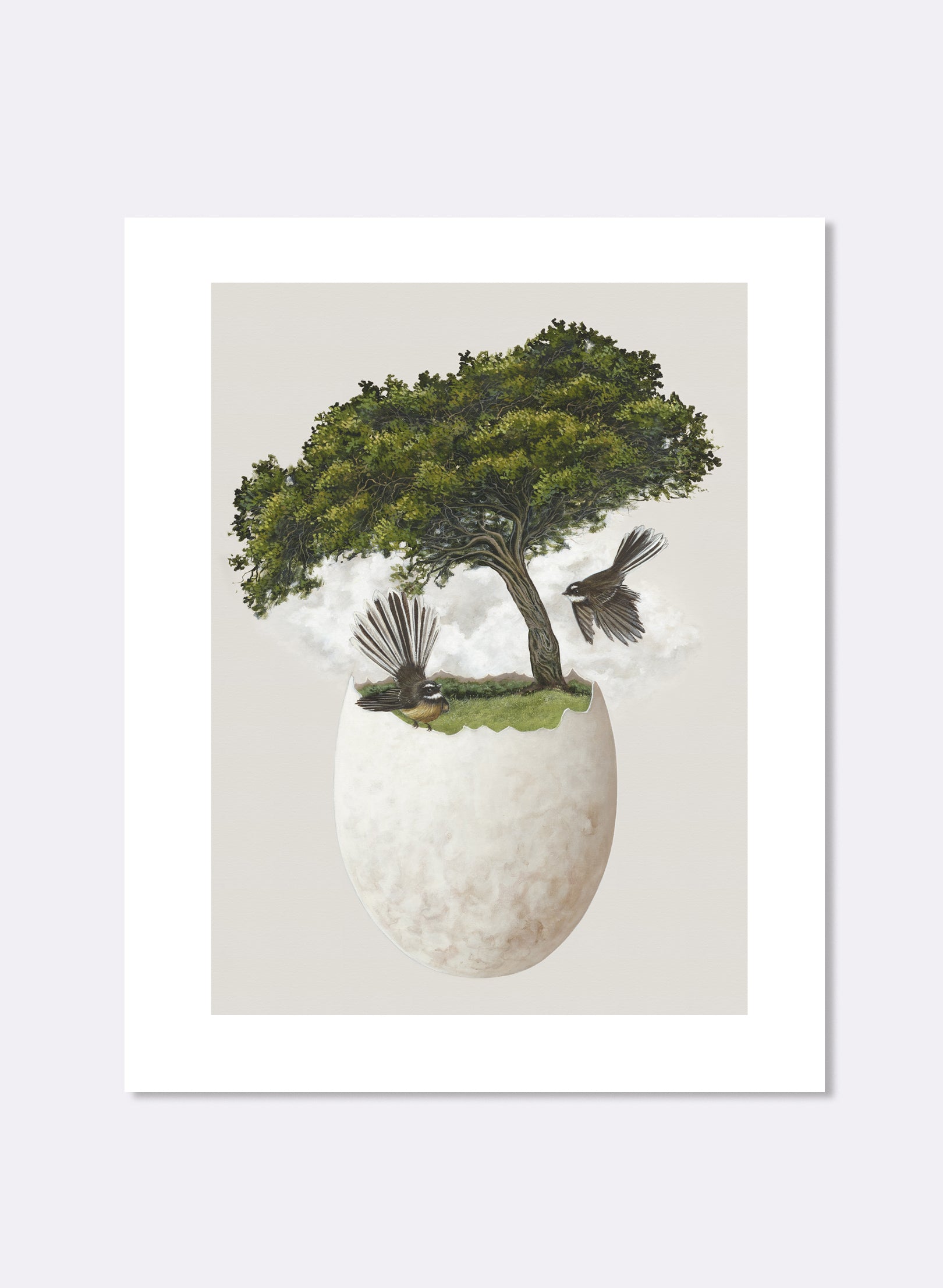 Friendly Fantail - Giclée Prints