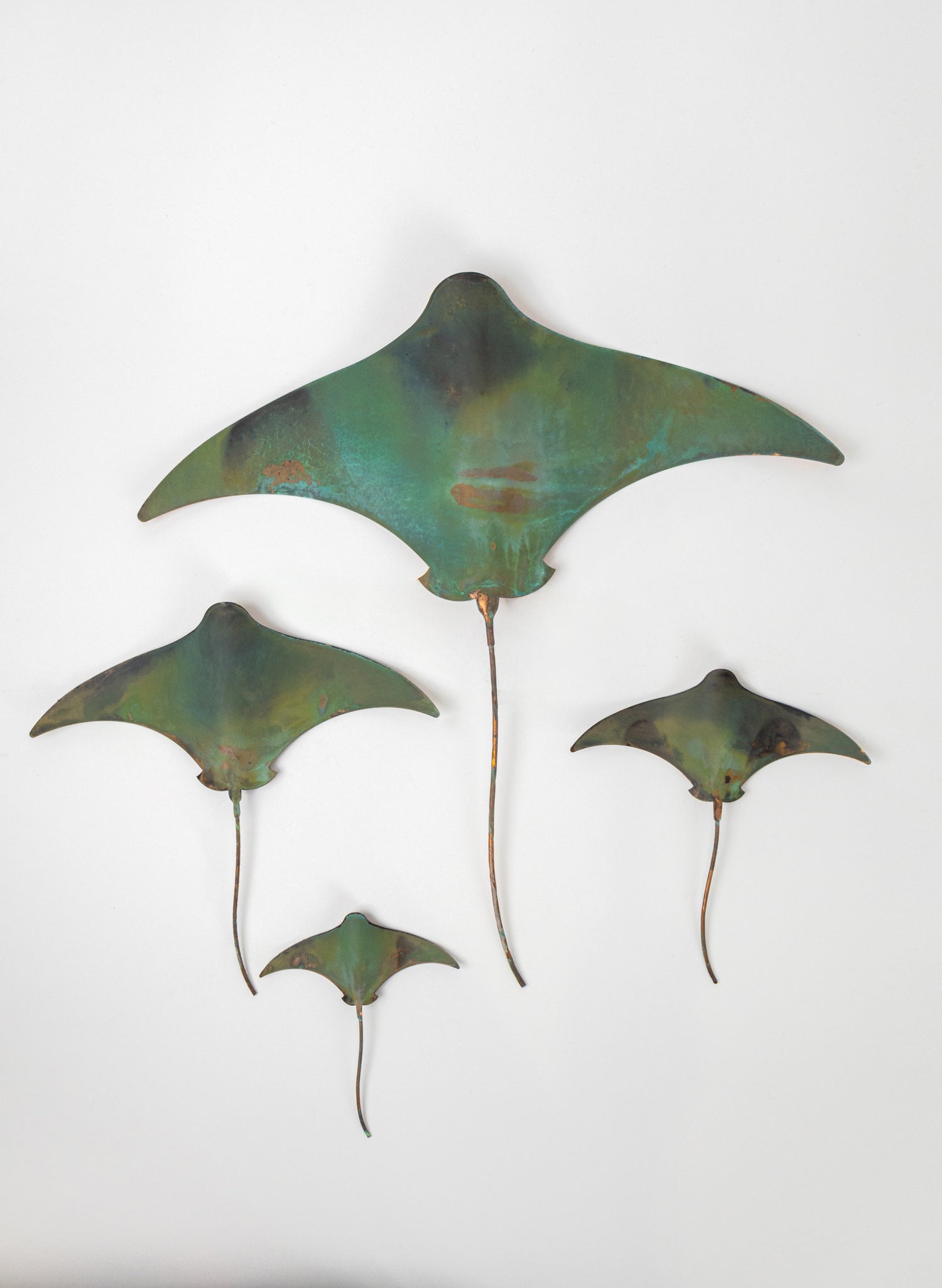 Stingray - Set of 4 