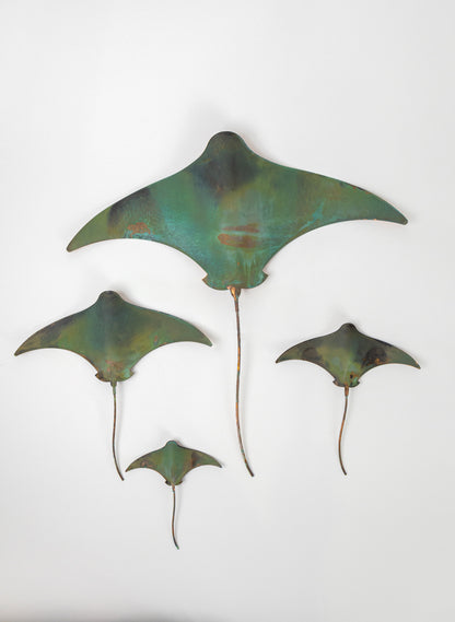 Stingray - Set of 4 