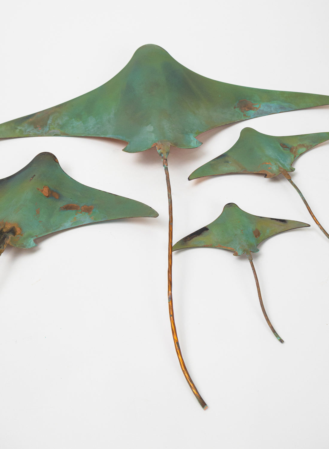 Stingray - Set of 4 