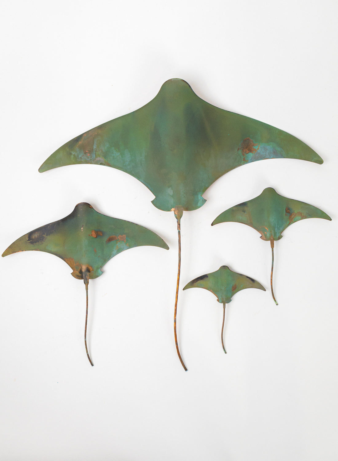 Stingray - Set of 4 