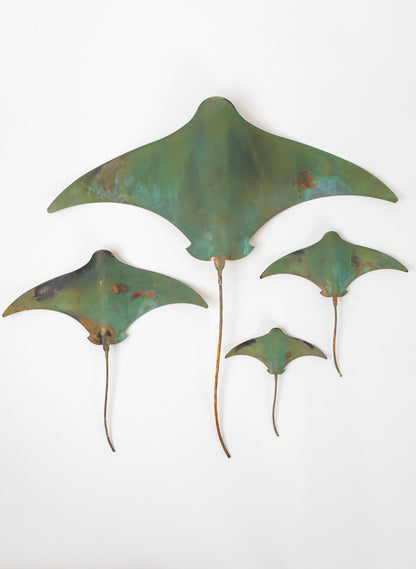 Stingray - Set of 4 