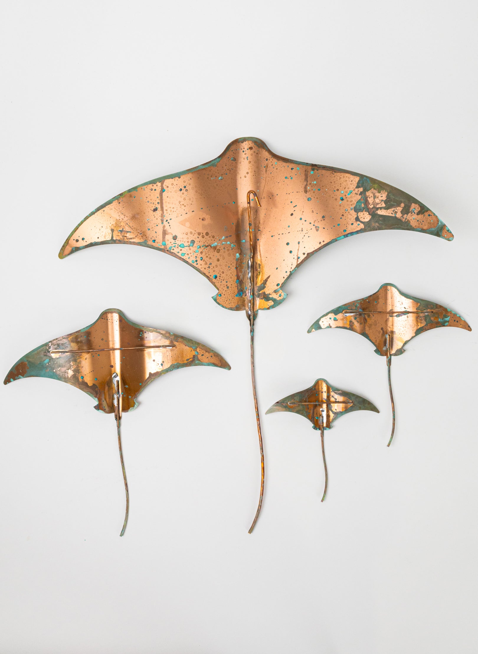 Stingray - Set of 4 