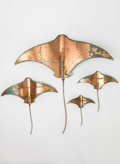 Stingray - Set of 4 