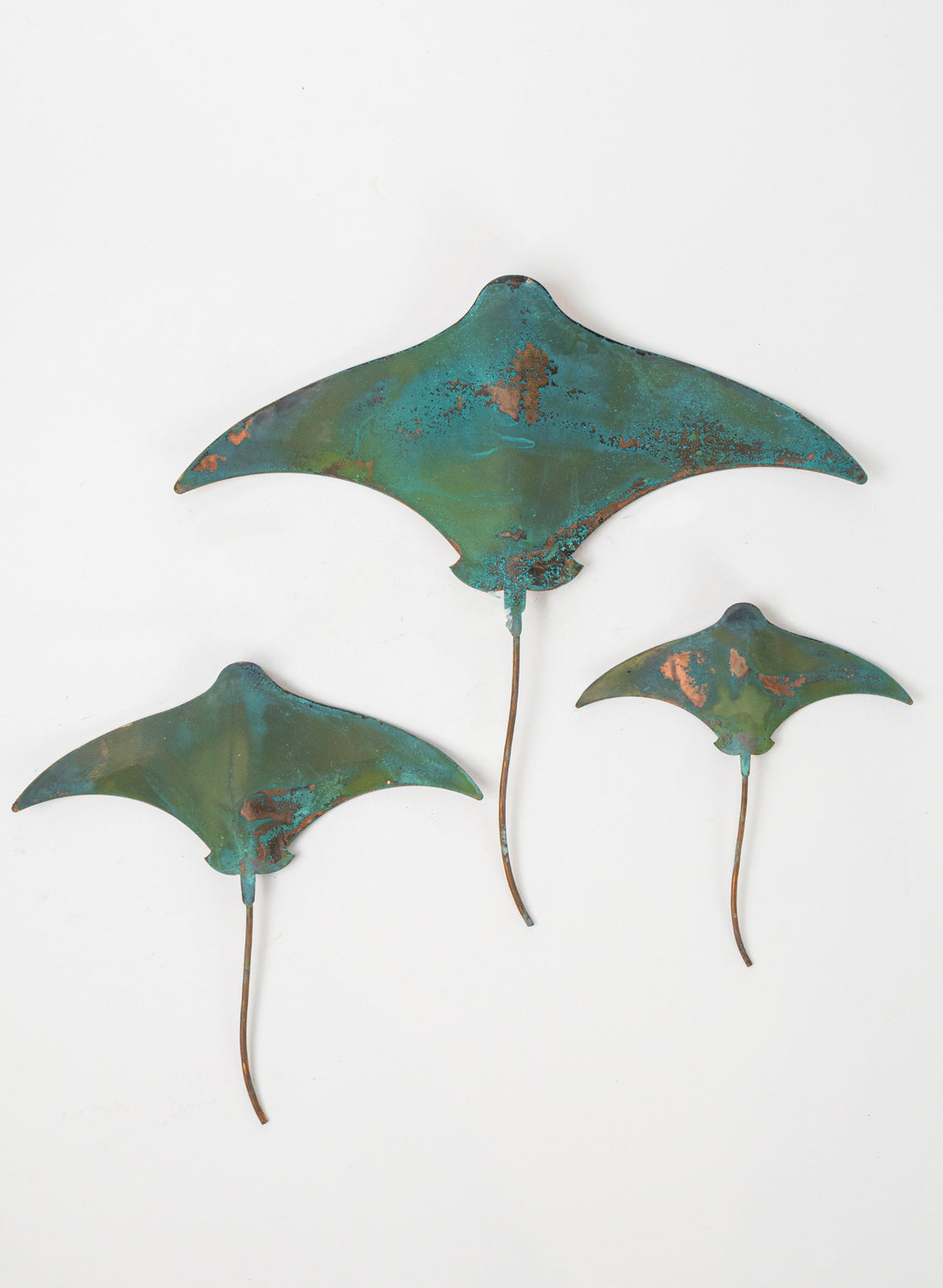 Stingray - Set of 3 