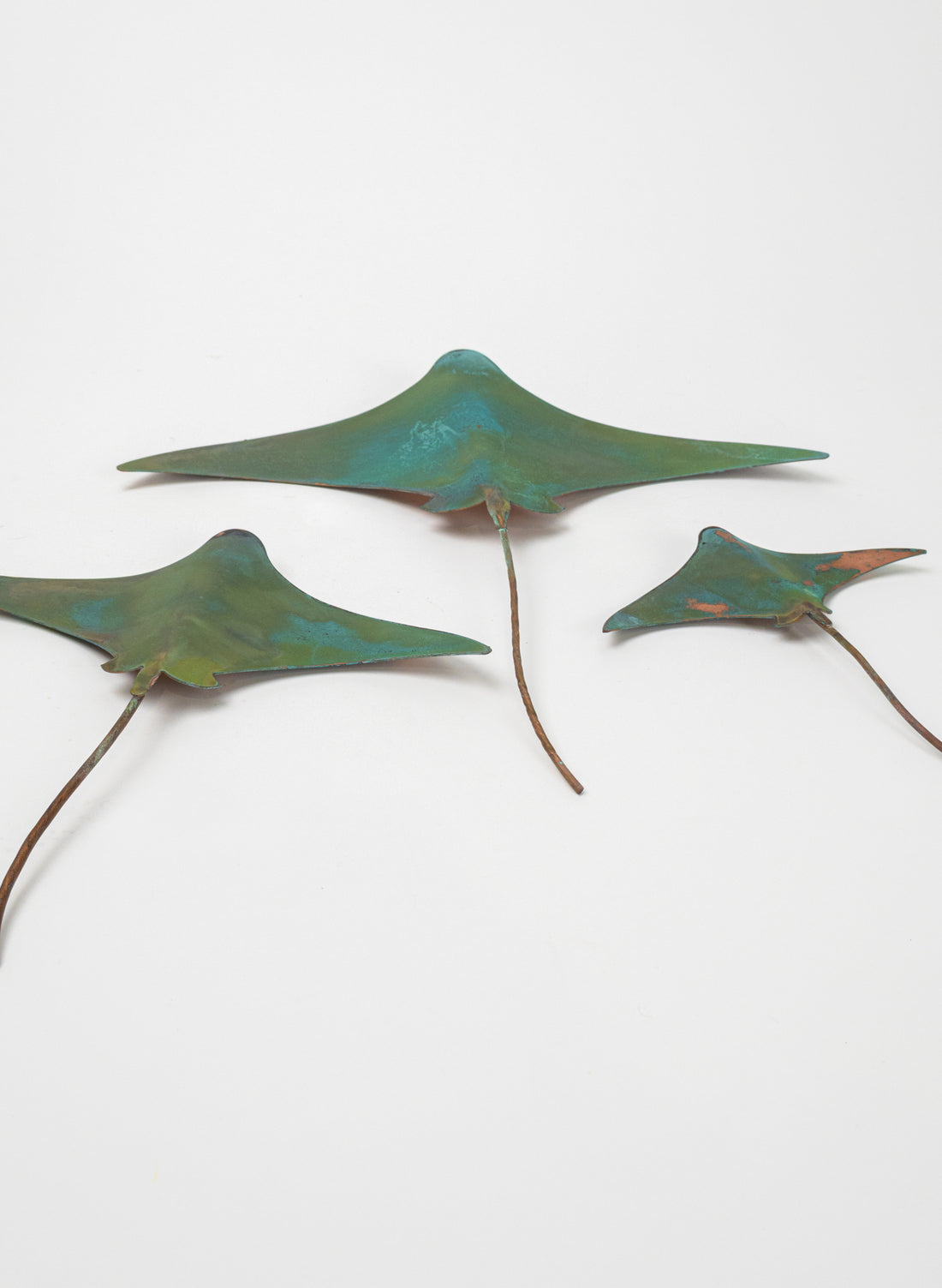 Stingray - Set of 3 
