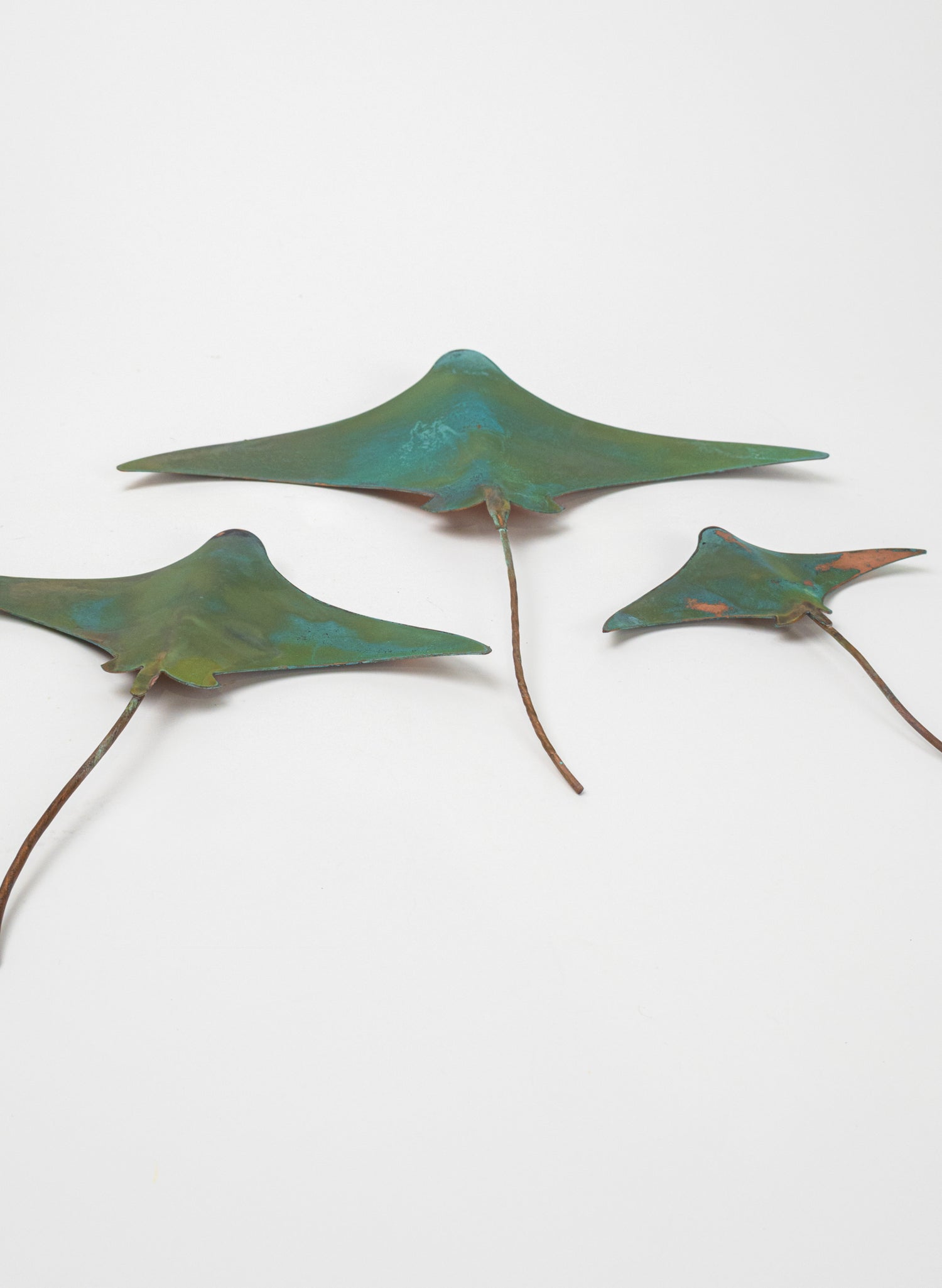 Stingray - Set of 3 