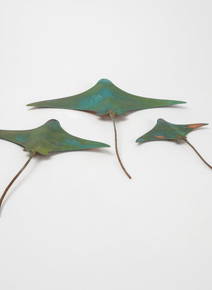 Stingray - Set of 3 
