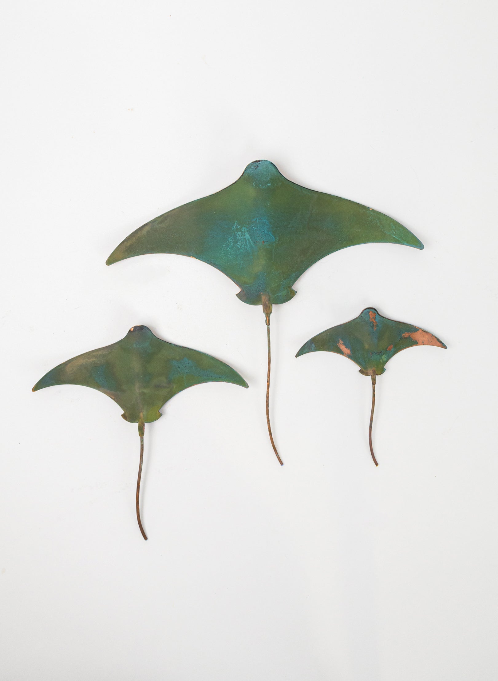Stingray - Set of 3 