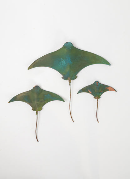 Stingray - Set of 3 