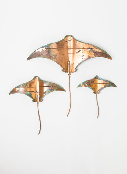 Stingray - Set of 3 