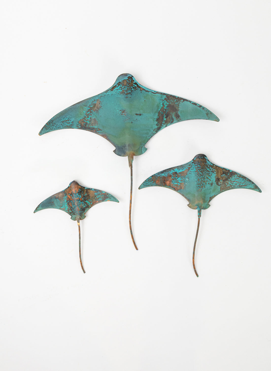 Stingray - Set of 3 