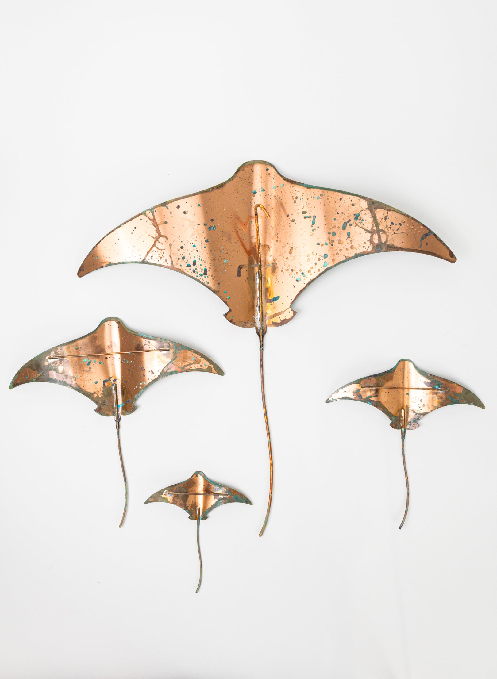 Stingray - Set of 4 