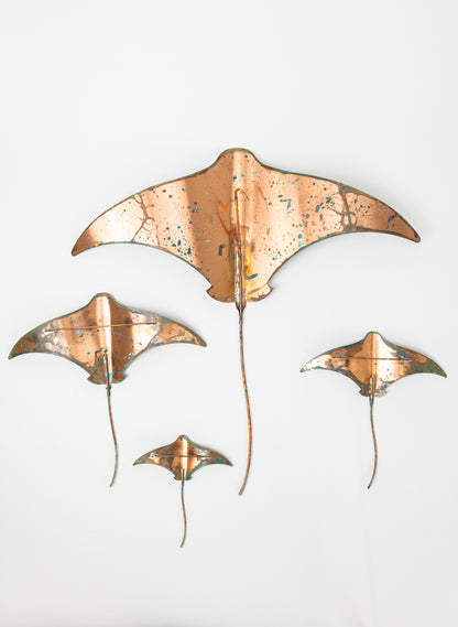 Stingray - Set of 4 