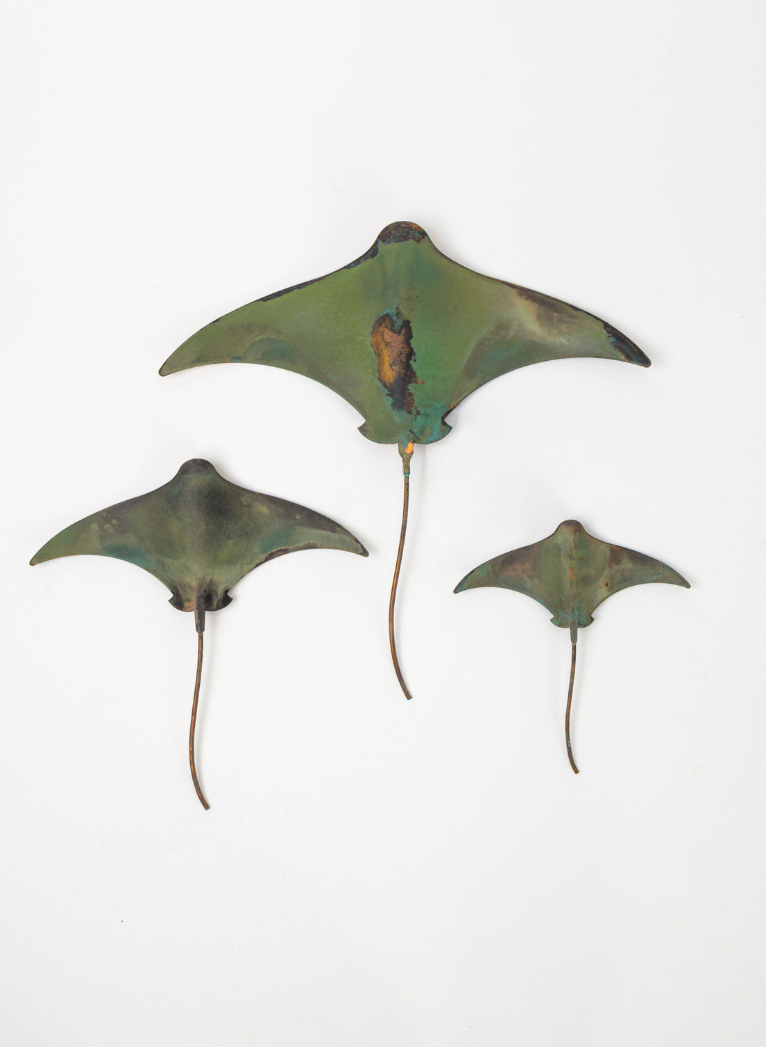 Stingray - Set of 3 