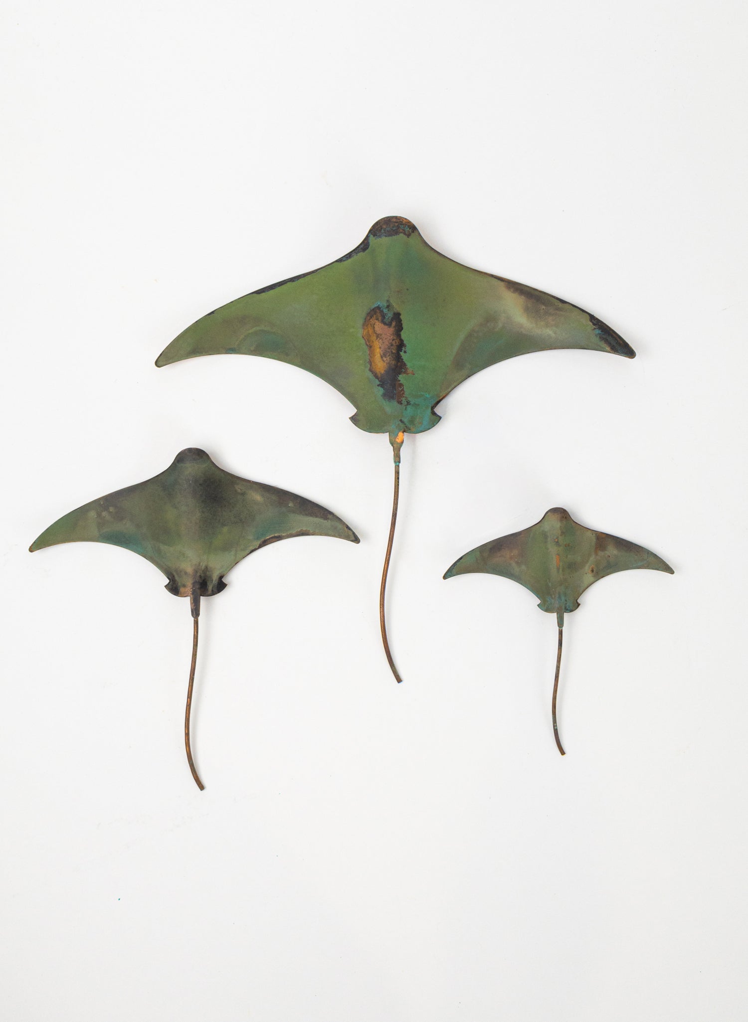 Stingray - Set of 3 