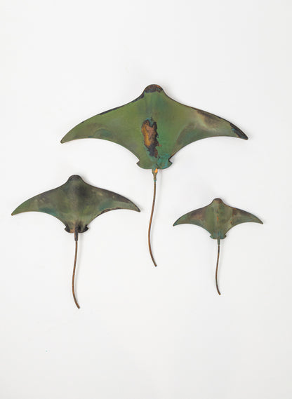 Stingray - Set of 3 