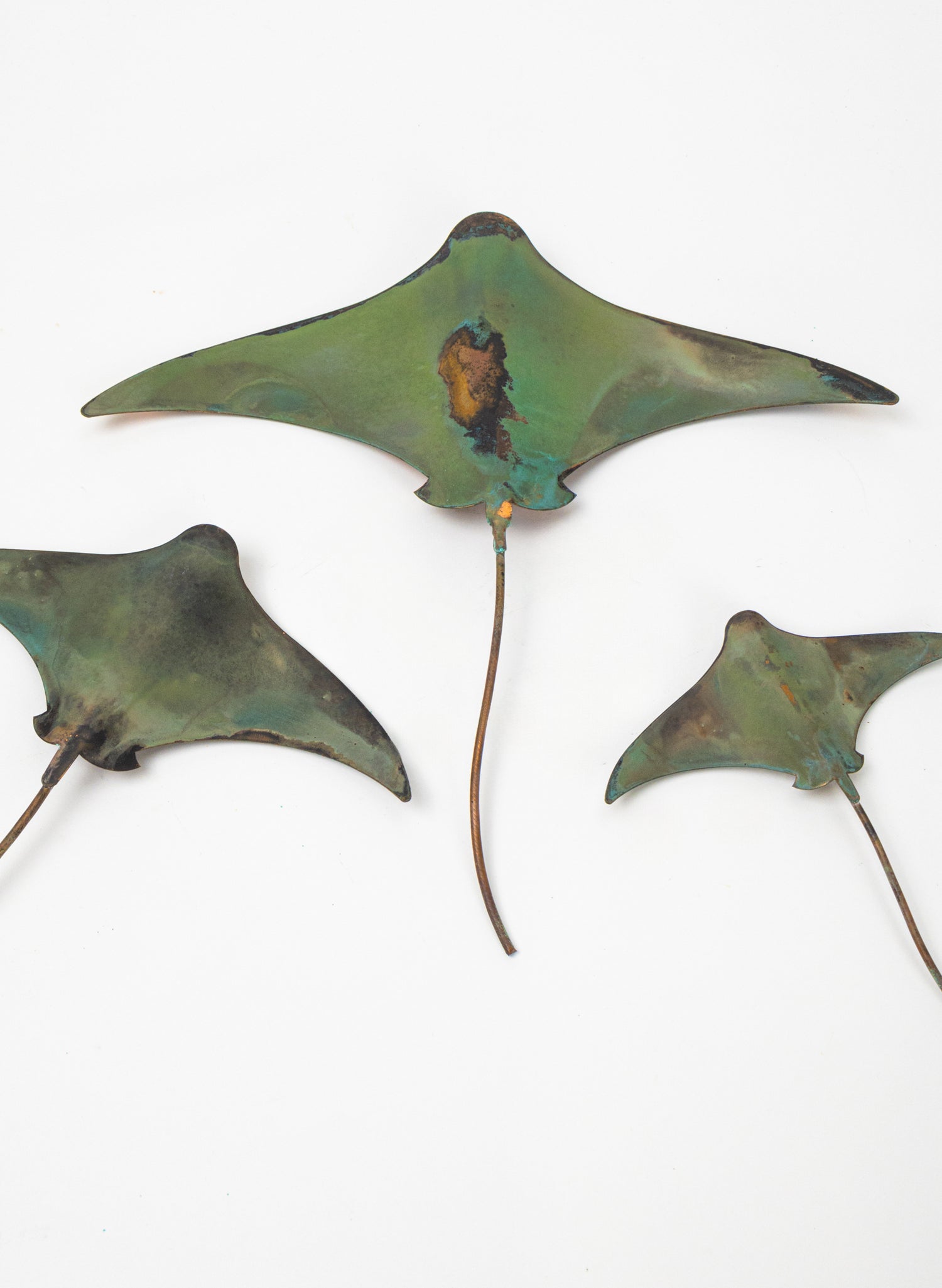 Stingray - Set of 3 