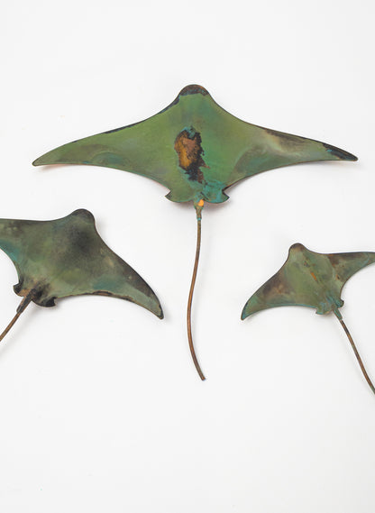 Stingray - Set of 3 