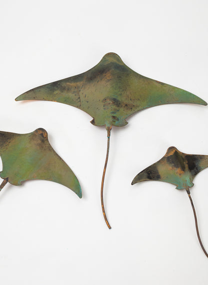 Stingray - Set of 3 