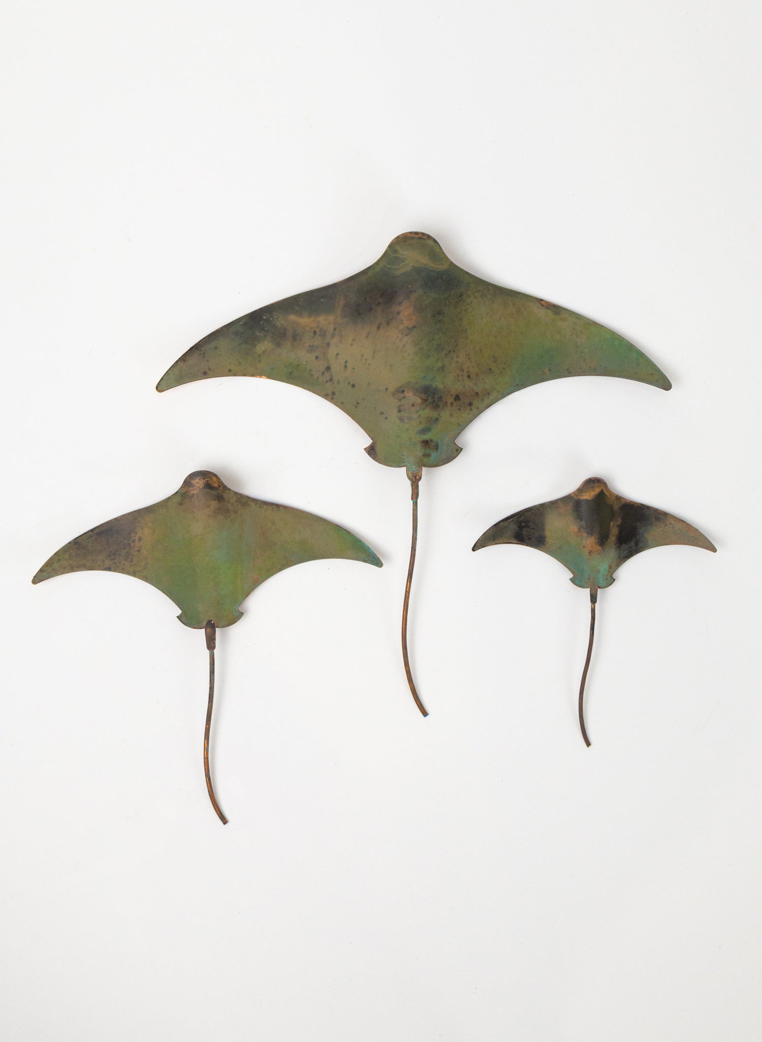 Stingray - Set of 3 